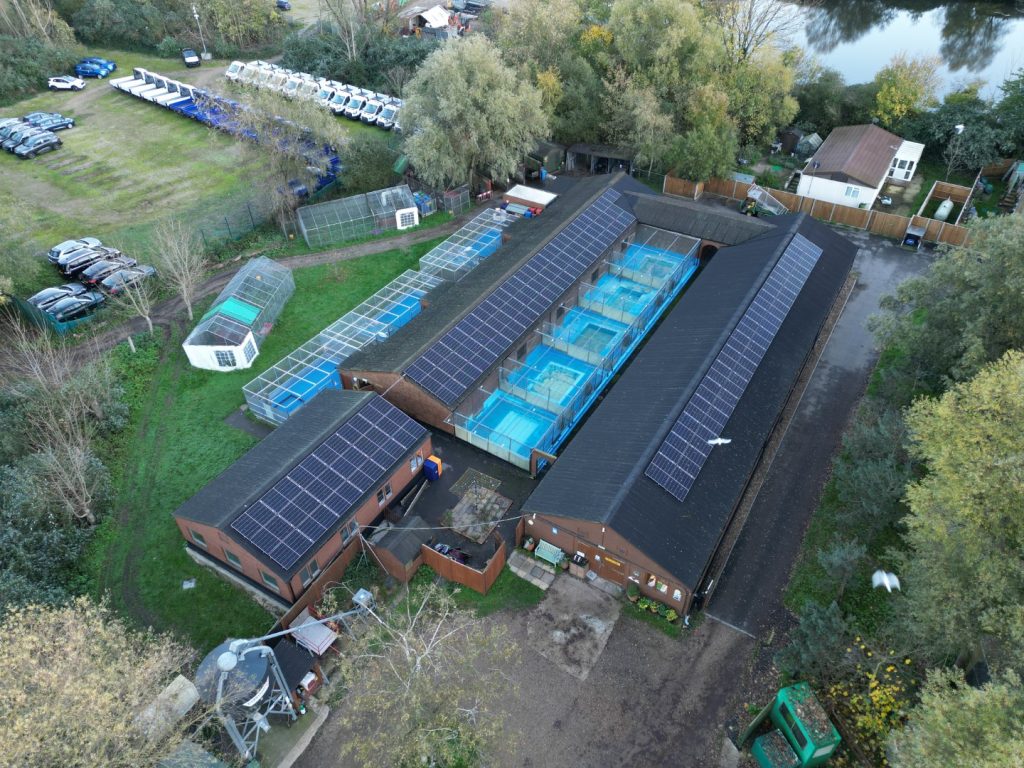 Solar power and panel installation by Powercor at the Swan Sanctuary in Shepperton, Surrey